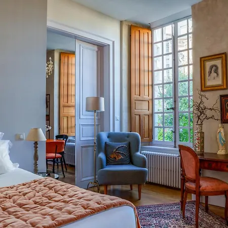 Raffine Vue Cathedrale, Jardin, Wifi * Tours