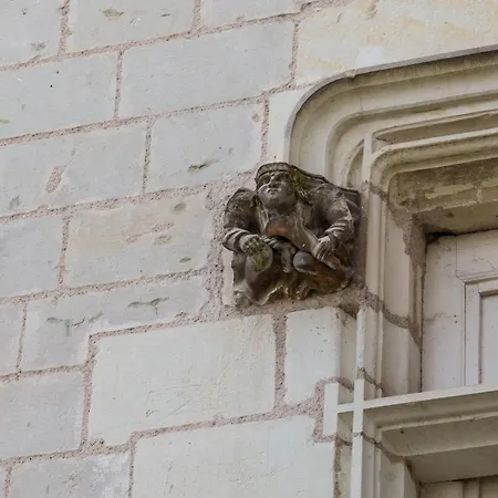 Raffine Vue Cathedrale, Jardin, Wifi Appartement