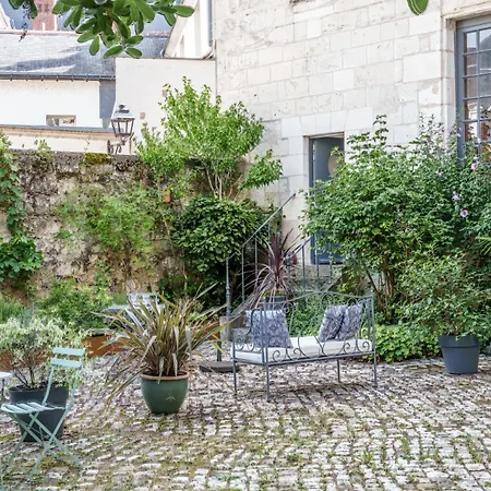 Appartement Raffine Vue Cathedrale, Jardin, Wifi Tours