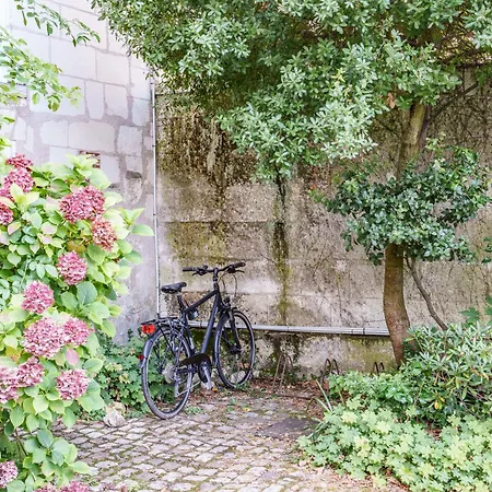 Raffine Vue Cathedrale, Jardin, Wifi *