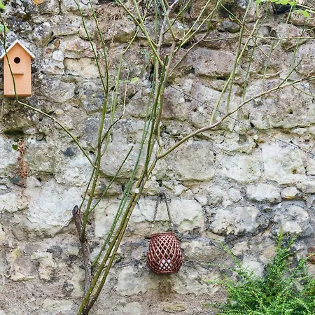 Appartement Raffine Vue Cathedrale, Jardin, Wifi *