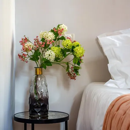 Raffine Vue Cathedrale, Jardin, Wifi * Tours