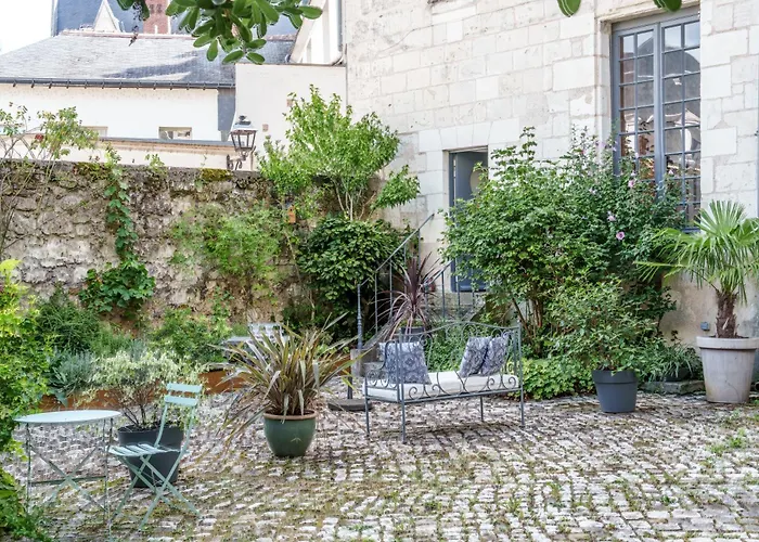 Apartment Raffine Vue Cathedrale, Jardin, Wifi Tours