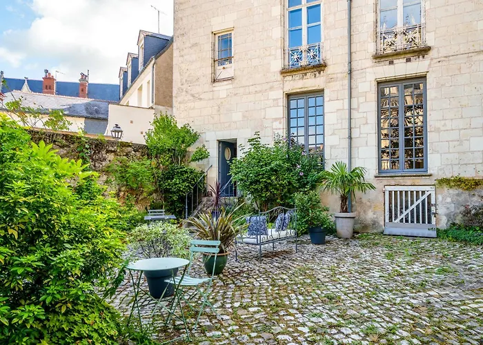 Raffine Vue Cathedrale, Jardin, Wifi * Tours