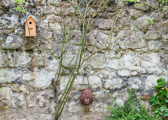 Apartment Raffine Vue Cathedrale, Jardin, Wifi *