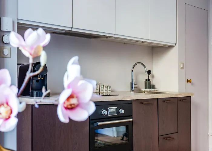 Appartement Raffine Vue Cathedrale, Jardin, Wifi Tours